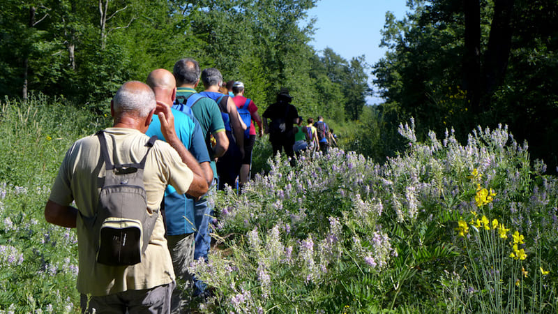 11 - Da Serramonacesca a Roccamontepiano
