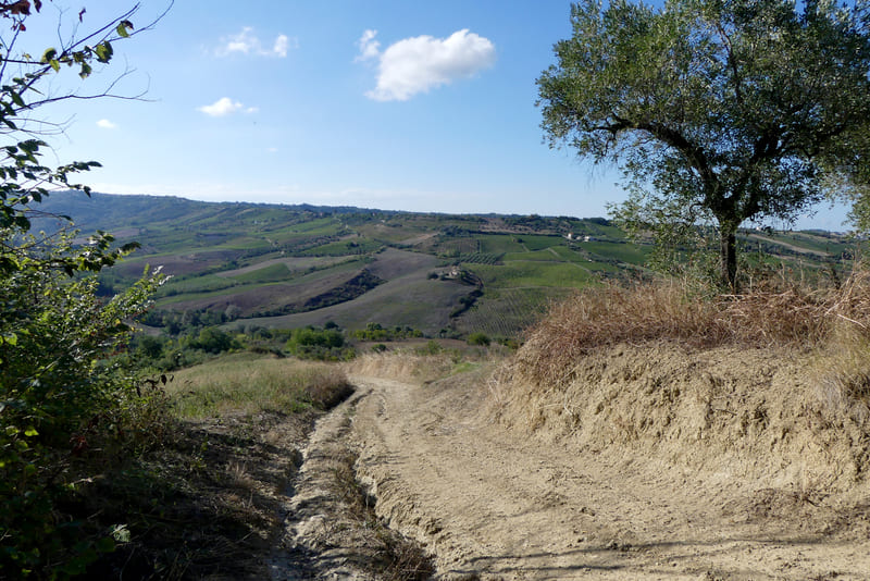 13 Guardiagrele - Castel Frentano